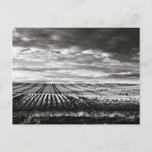 farm fields postcard