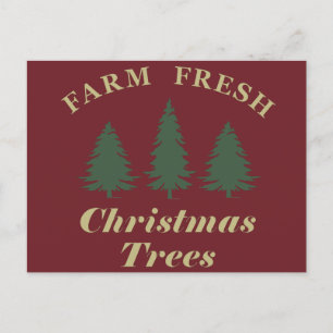 Farm fresh Christmas pine trees Holiday Postcard