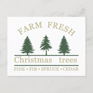 Farm fresh Christmas pine trees Holiday Postcard