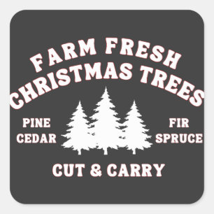 Farm Fresh Christmas Trees, Womens Holiday Square Sticker