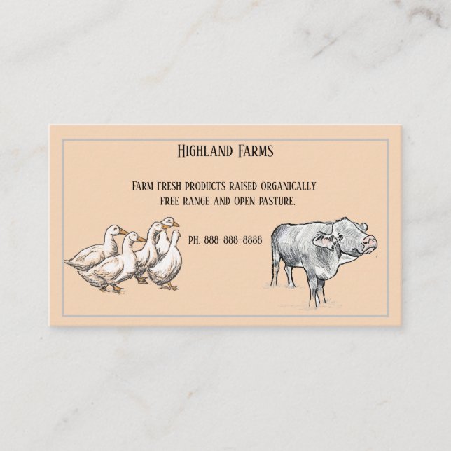 Farm Fresh Cow and Ducks Pen and Ink Sketch Business Card (Front)