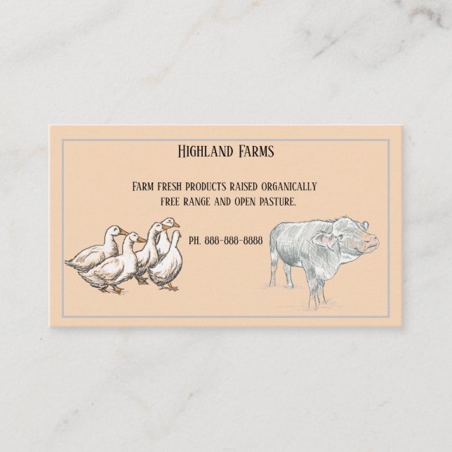 Farm Fresh Cow and Ducks Pen and Ink Sketch Business Card (Front)