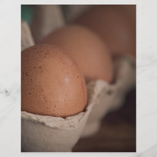 Farm Fresh Eggs Flyer