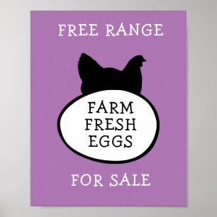Farm Fresh Eggs Poster