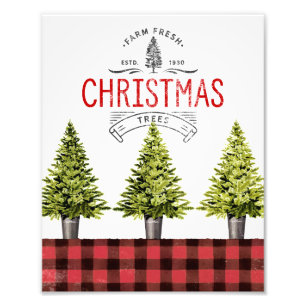 Farm Fresh Potted Christmas Trees Wall Art