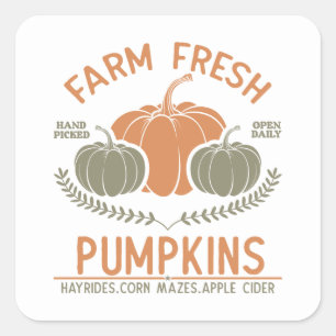 Farm Fresh Pumpkins   Hand Picked Square Sticker