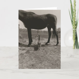 Farm friends II Card