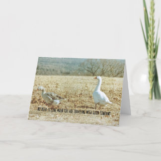 FARM GEESE Greeting Card