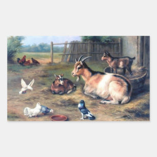 Farm Goat Kids Pigeons Rectangular Sticker