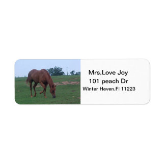 Farm Horse Address Lables Return Address Label