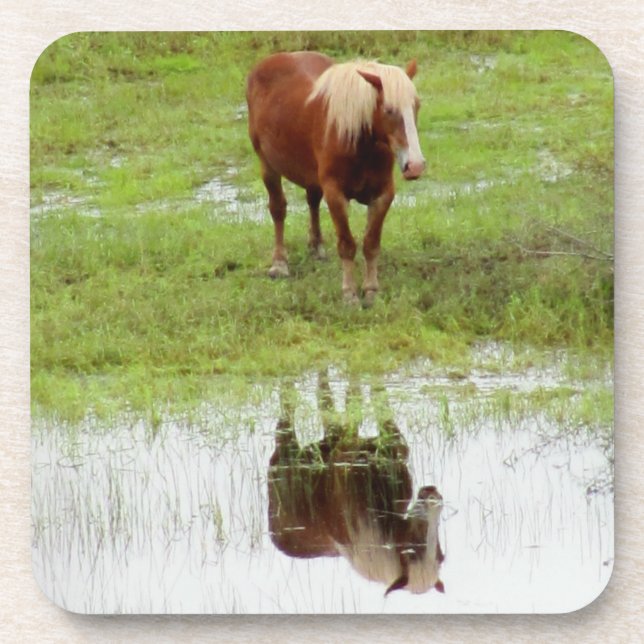 Farm Horse Checks It's Reflection by DJONeill Coaster (Front)