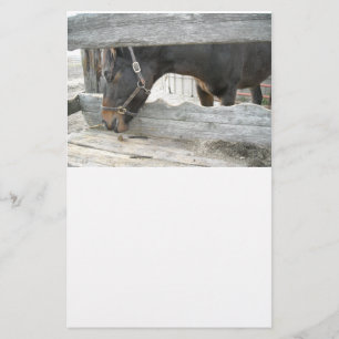 Farm Horse Humour Stationery