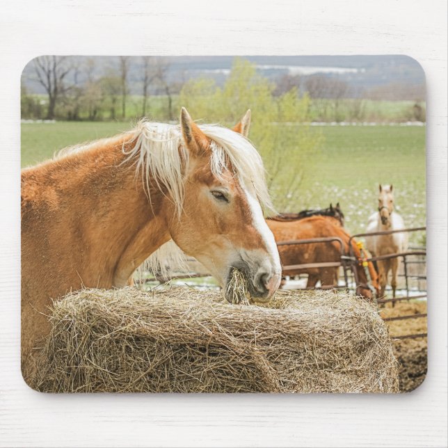 Farm Horse Munching on Some Hay Mouse Pad (Front)