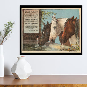 Farm Horses Drinking Water Advertisement Ephemera Poster