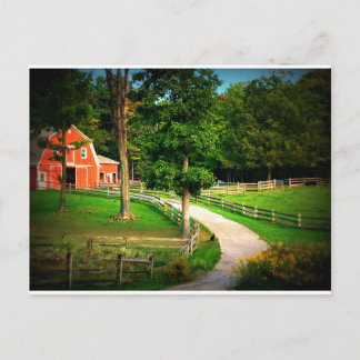 Farm house cat in the barn yard postcard