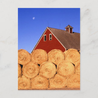 Farm in Iowa Postcard