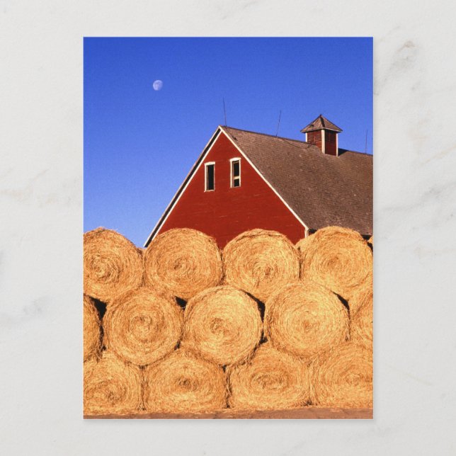 Farm in Iowa Postcard (Front)