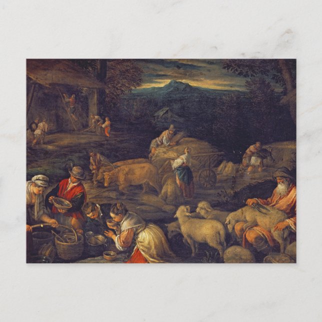 Farm Interior or Shearing Sheep Postcard (Front)