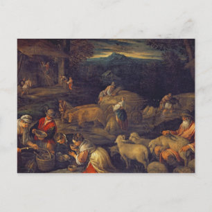 Farm Interior or Shearing Sheep Postcard