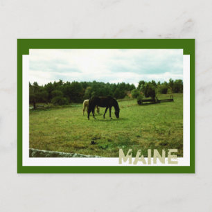 Farm Land Postcard
