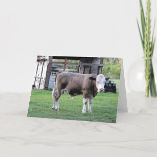 Farm Life (4193) - The Stare Card
