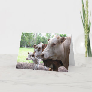 Farm Life (7416) - Cows Card