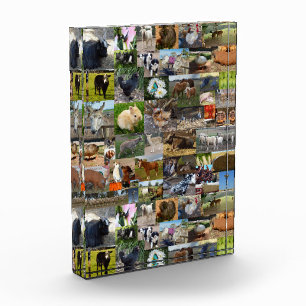 Farm Life Photo Collage,  