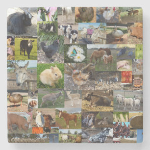 Farm Life Photo Collage, Stone Coaster
