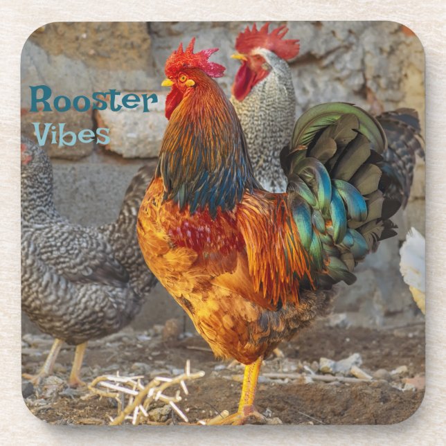 Farm Life Rooster Vibes Hard Plastic Coasters (Front)