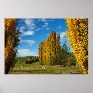 Farm Pasture with Sheep Poster