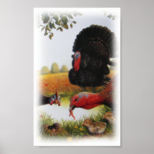 Farm Poster