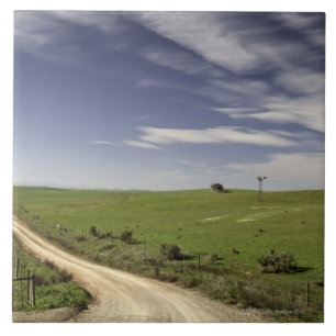 Farm road twining between wheat fields, Caledon, Tile