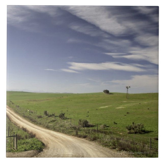 Farm road twining between wheat fields, Caledon, Tile (Front)