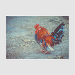 Farm Rooster Colourful Decoupage Tissue Paper