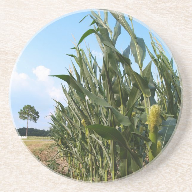 Farm Series---Corn field in GA Coaster (Front)