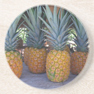 Farm Series--Pineapple Coaster