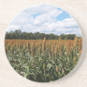 Farm Series--Sorghum Field--Coaster Coaster
