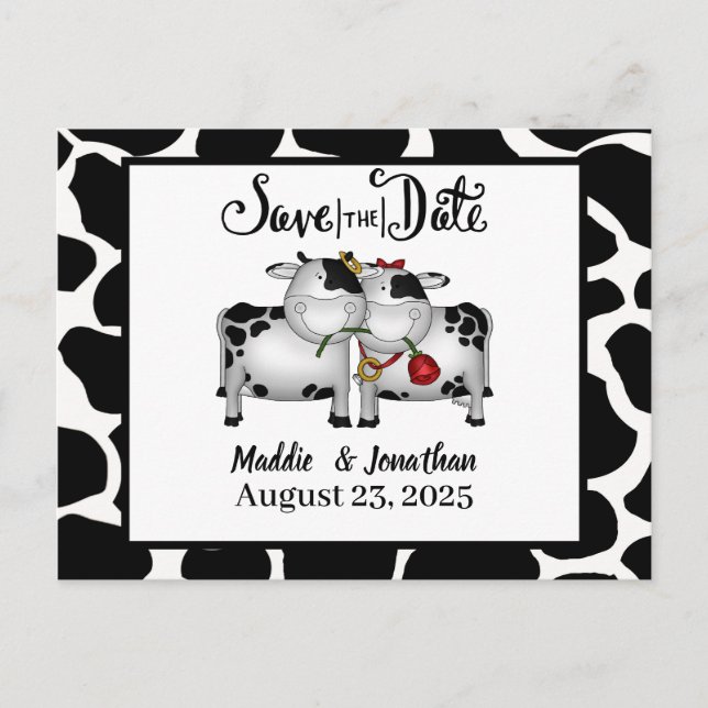 Farm Theme Cows Save the Date Postcard (Front)