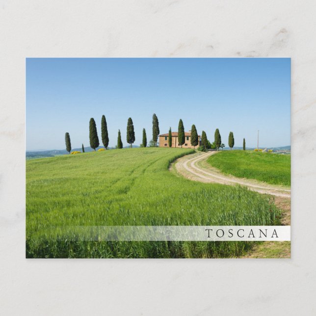 Farm villa with cypress trees in Tuscany Postcard (Front)