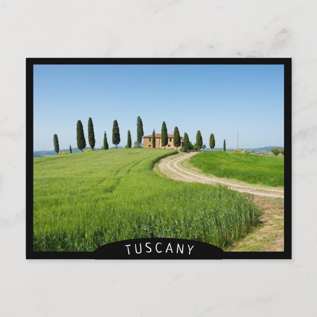 Farm villa with cypress trees in Tuscany Postcard (Front)