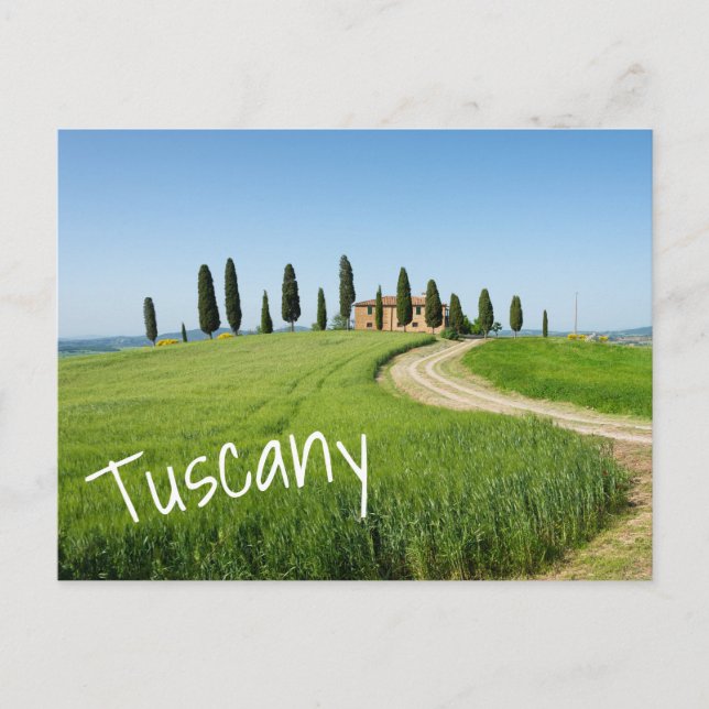Farm villa with cypress trees in Tuscany Postcard (Front)