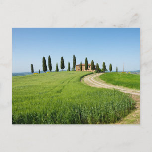 Farm villa with cypress trees in Tuscany Postcard