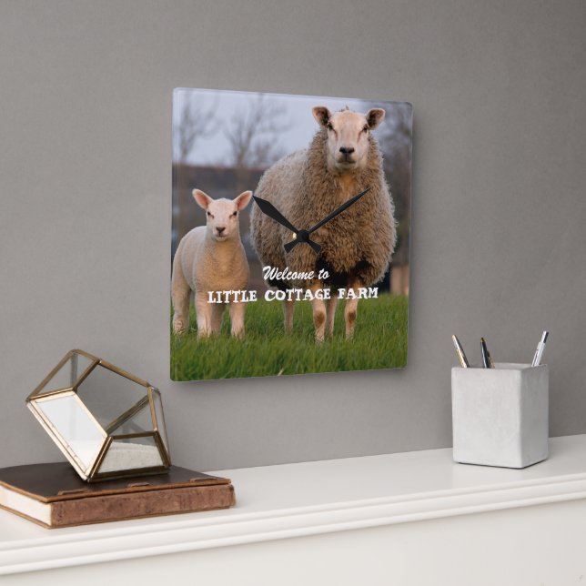 Farm Welcome Sheep Family Custom Square Wall Clock (Office)