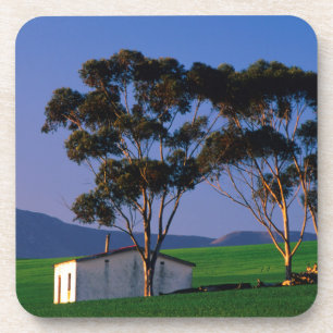 Farm Worker's Cottage And Wheat Fields, Overberg Coaster
