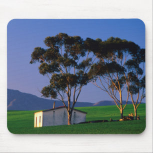 Farm Worker's Cottage And Wheat Fields, Overberg Mouse Pad