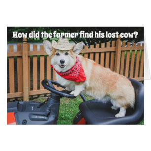 Farmer Corgi Birthday joke