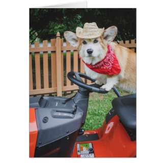 Farmer Corgi blank card