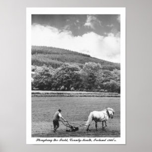 Farmer & horse plough, 1960's Ireland, Co. Meath Poster
