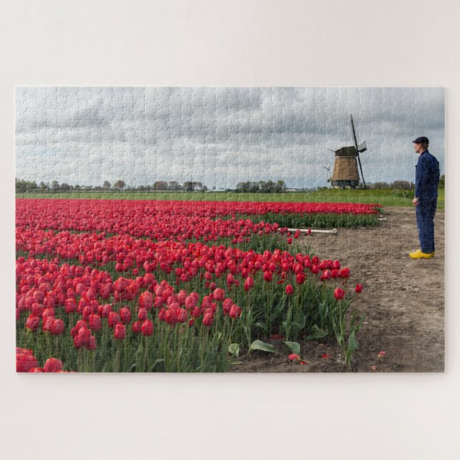 Farmer inspecting his tulips and windmill jigsaw puzzle (Horizontal)