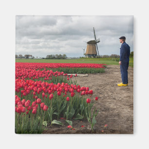 Farmer inspecting his tulips and windmill magnet